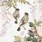 Woodland Birds II Poster Print by Isabelle Z - Item # VARPDXEZ227A